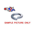 M20 Spring Lock Washer, Each