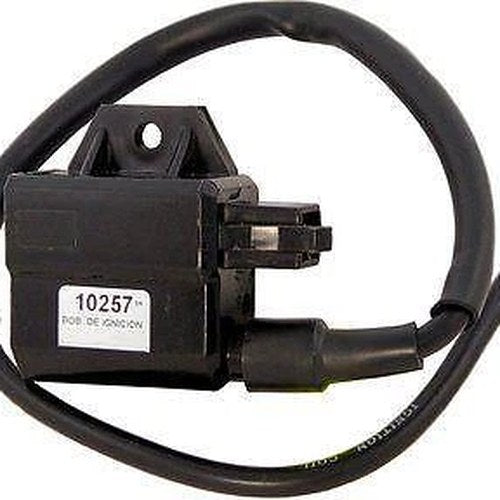 Ignition Coil / CDI Unit Suzuki LT80 87-01, AE50 90-96