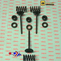Inlet Valve+SPRING Kit Yamaha YZ450F 03-09, WR450F 03-15, YFZ450/R 04-20