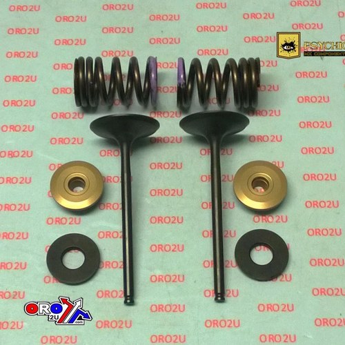 Psychic Inlet Valve+SPRING Kit Kawasaki KX250F 2007-2008