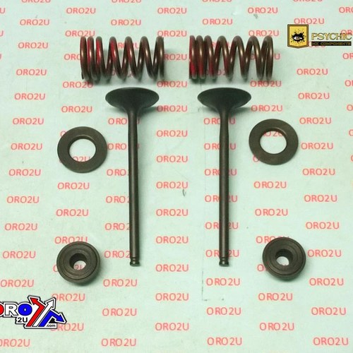 Psychic Exhaust Valve+SPRING Kit Kawasaki KX250F 04-16, Suzuki RM-Z250 04-06
