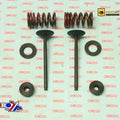 Psychic Exhaust Valve+SPRING Kit Kawasaki KX250F 04-16, Suzuki RM-Z250 04-06