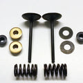 Psychic Inlet Valve+SPRING Kit Kawasaki KX450F 2006-2008