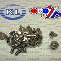 Chrome Phillips Oval Large Head Screws 6x12 (PACK 25)
