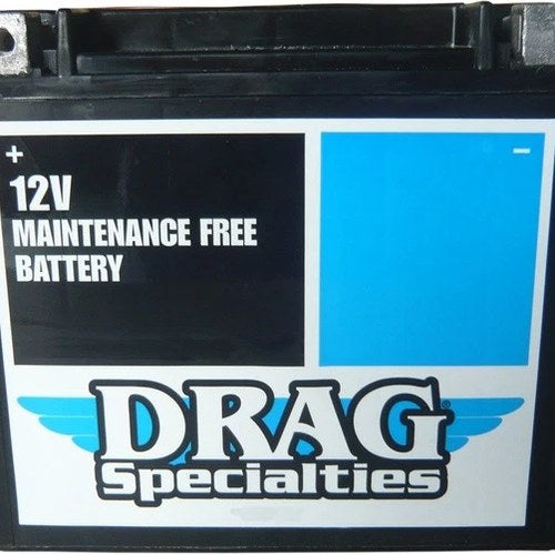DS Agm Maintenance Free Battery #212245