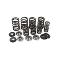 Kibblewhite Racing Valve Spring Set Suzuki LT-R 450 2006-2009