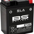 BS Battery Sla Factory Activated Agm Maintenance Free Battery BTZ8V Sla #300890