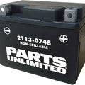 Parts Unlimited Agm Maintenance Free Battery 12V YTX4L #266538