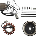 DS Charging System Harley Davidson #144132