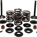 Kibblewhite Black Diamond Complete Engine Valve Kit 20-22450 Harley Davidson
