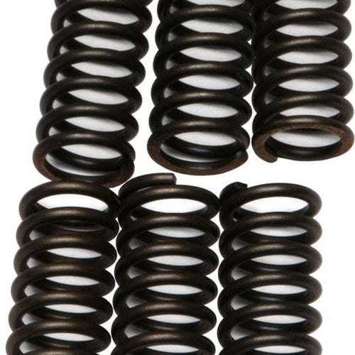 Ebc Csk Clutch Springs #CSK257 Harley Davidson Sportster/XR1000