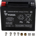 Yuasa Battery Agm Maintenance Free Factory-Activated Battery #YUAM42RBS