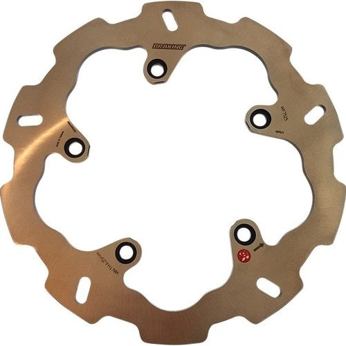 Braking Fixed Brake Rotor BMW R 1200 RT/R 1200 RS/R 1200 GS/R 1200 GS Rallye