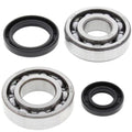 All Balls Crankshaft Bearing & Seal Kit #24-1069 for Suzuki RM250 1982-1985