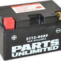 PU Agm Factory Activated Maintenance Free Battery 12V for Yamaha CP250 Morphous