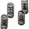 Ebc Csk Clutch Springs #CSK233 Harley Davidson V-Rod
