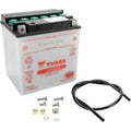 Yuasa Battery YuMicron Battery YB30L-B Harley Davidson