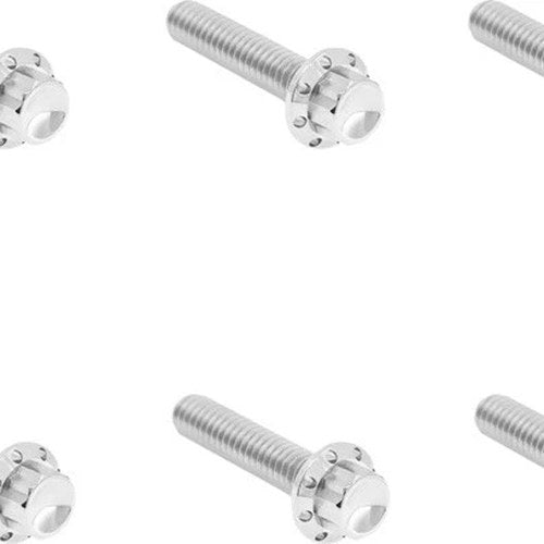 Arlen Ness Titanium 12-Point Clutch Cover Hardware Kit Polished #300-700