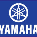 Dcor Brand Decal Squared for Yamaha Icon 12"