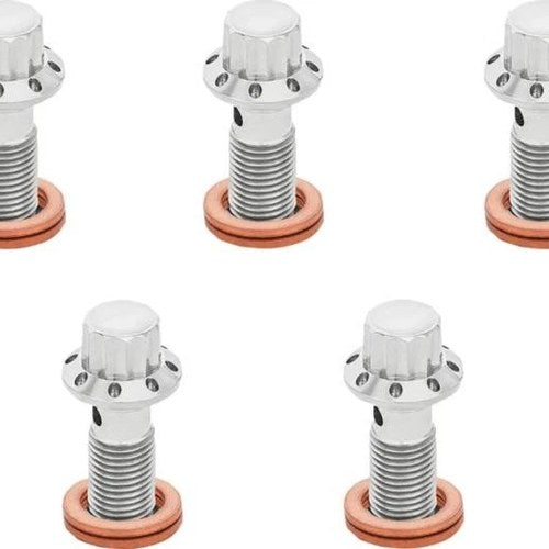 Arlen Ness Titanium Banjo Bolts 3/8"-24 Front/Rear Silver 5-Pack #300-854
