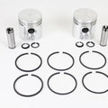 45 inch WL/G Piston Kit Standard for Harley-Davidson