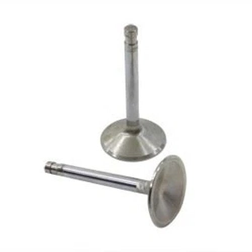 Stainless Steel Intake Valve for Harley-Davidson