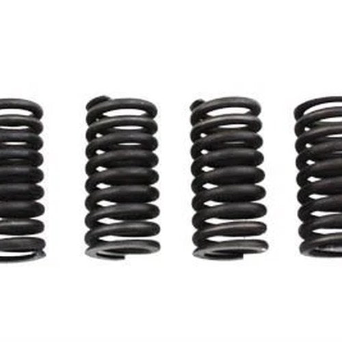 Valve Spring Set for Harley-Davidson