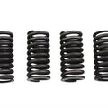 Valve Spring Set for Harley-Davidson