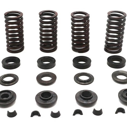 Valve Spring Kit for Harley-Davidson