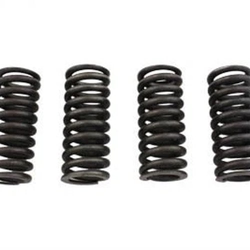 Valve Spring Set for Harley-Davidson