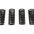 Valve Spring Set for Harley-Davidson