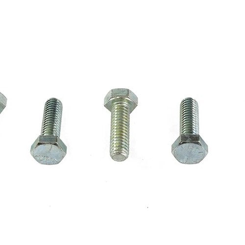 Hex Cap Bolts Zinc 5/16 inch X 1 inch for Harley-Davidson