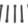 1/4 inch-20 x 2-1/2 inch Allen Socket Cap Screw Black for Harley-Davidson