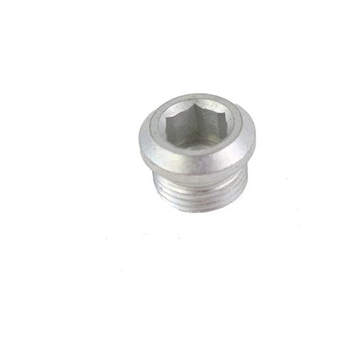 Cadmium Allen Timing Plug for Harley-Davidson