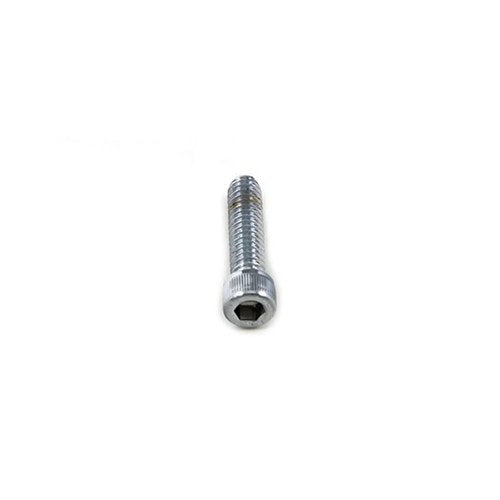 Allen Socket Cap Bolt Knurled Chrome 1/4 inch X 1 inch for Harley-Davidson