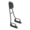 Passenger Sissy Bar Backrest Pad Fit For Harley Softail Street Bob Fxbb 18-25