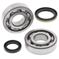 Crank Shaft Bearing Kit For Suzuki RMX250 1995