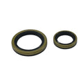 Crank Bearing & Seal Kit For Beta Evo 4T 300 2009-2021