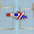 Radiator Protection Guard Yamaha YZ250 2005-2007