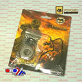 Psychic Water Pump Gasket Kit Honda CRF405R/X/RX 2019-2025