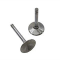 Stainless For Steel Intake Valve
