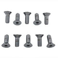 Chrome Allen Type Disc Screw