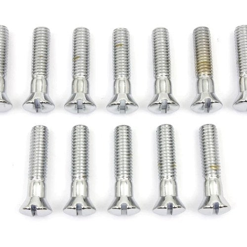 Chrome Cam Cover Stock Slotted Screws