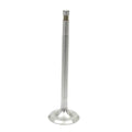 Steel Intake Valve for Harley-Davidson