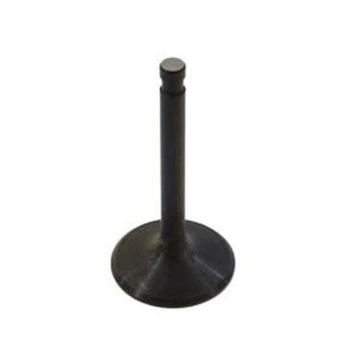 Nitrate Steel Intake Valve for Harley-Davidson