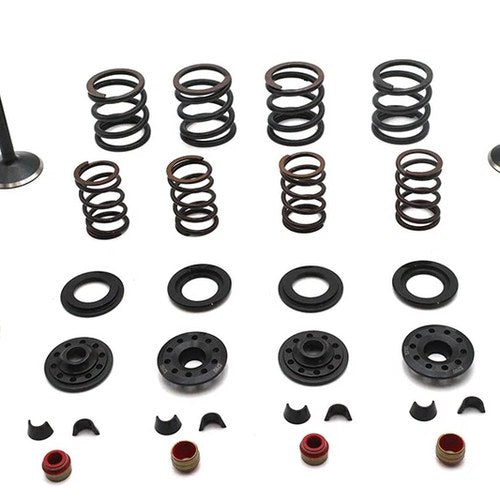 Kibblewhite Valve and Spring Kit for Harley-Davidson