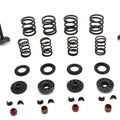 Kibblewhite Valve and Spring Kit for Harley-Davidson