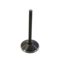 Black Nitrate Racing Intake Valve for Harley-Davidson