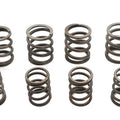 Valve Spring Kit for Harley-Davidson