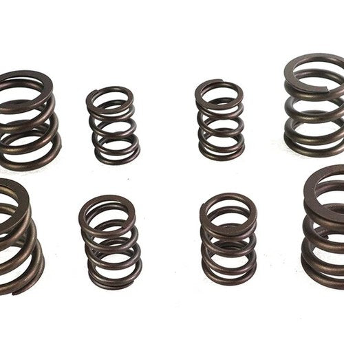 Sifton Valve Spring for Harley-Davidson